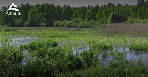 puszcza bolimowska|10 Best hikes and trails in Bolimów Landscape Park